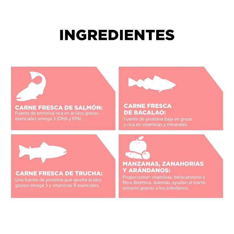 Go! - Carnivore Grain-Free Salmon + Cod Cat