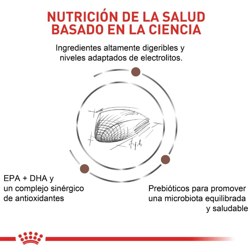 Royal Canin VHN - Gi High Fibre Perro