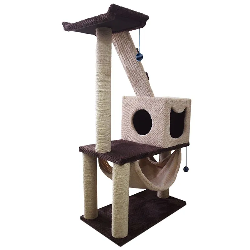 Maos Pets - Gimnasio Mediano