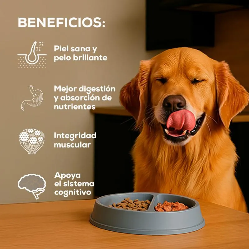 Grand Vita - Perros Adultos Cordero