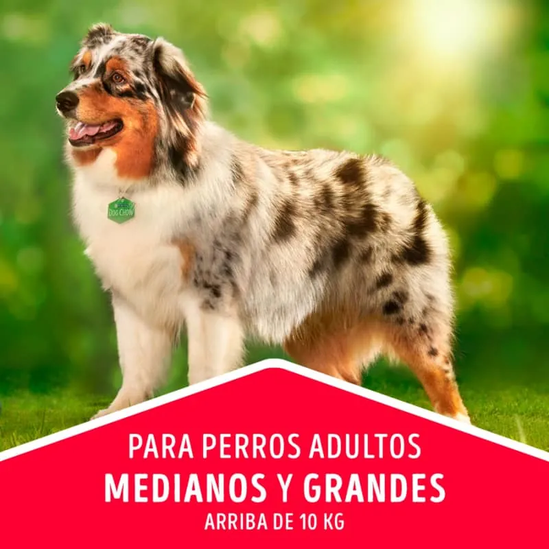 Dog Chow - Salud Visible Adultos Medianos Y Grandes