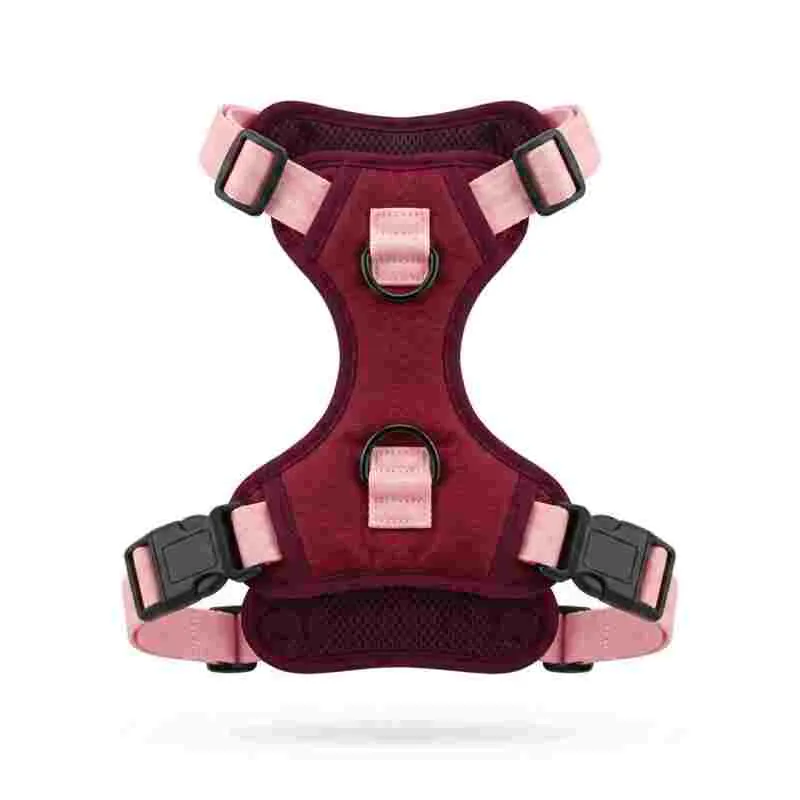 Paw Day - Arnes Essential Vino Tinto - Rosado Bebe