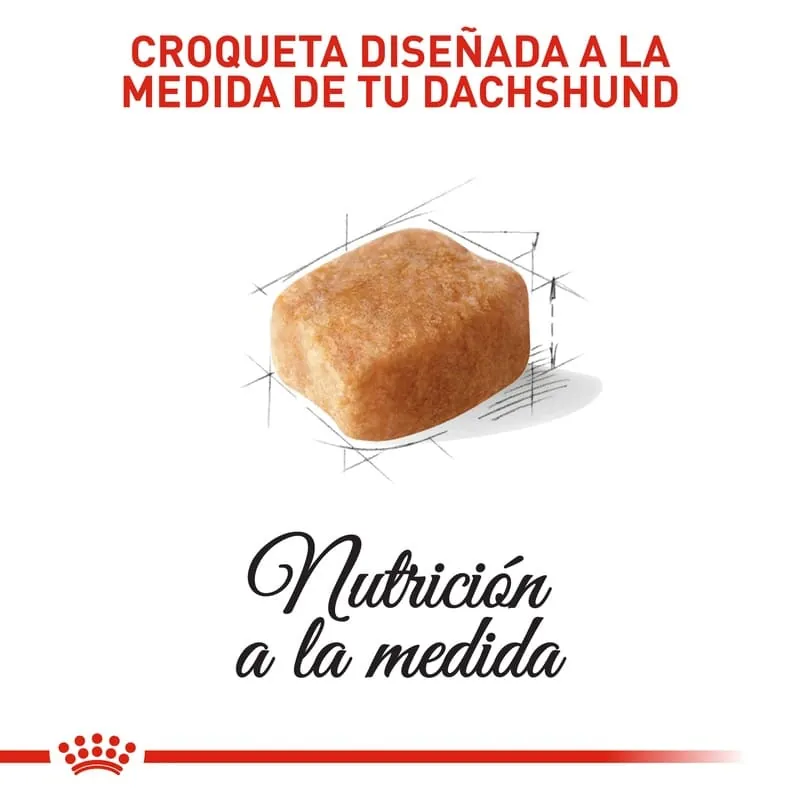 Royal Canin - Dachshund Adult