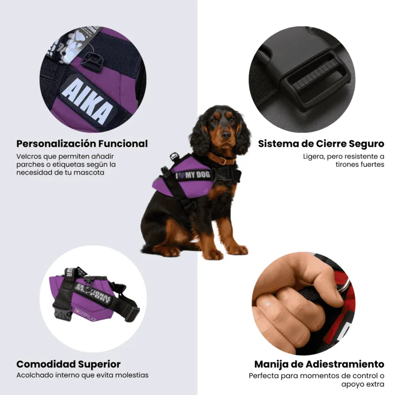 Dogerpilar - Arnés Velcro Morado