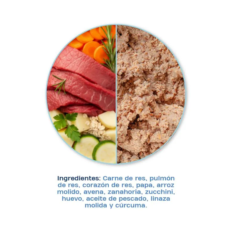 True Blue - Caja Beef N Carrot Cachorro
