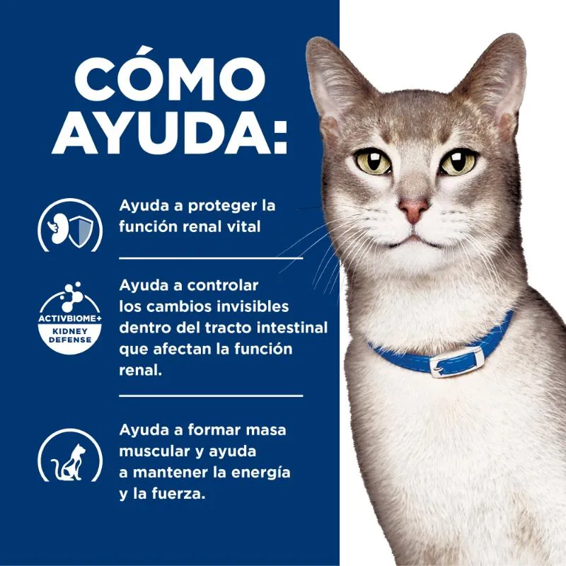 Hills Pd - K/D Alimento, Húmedo Gato Cuidado Renal Sabor Pollo