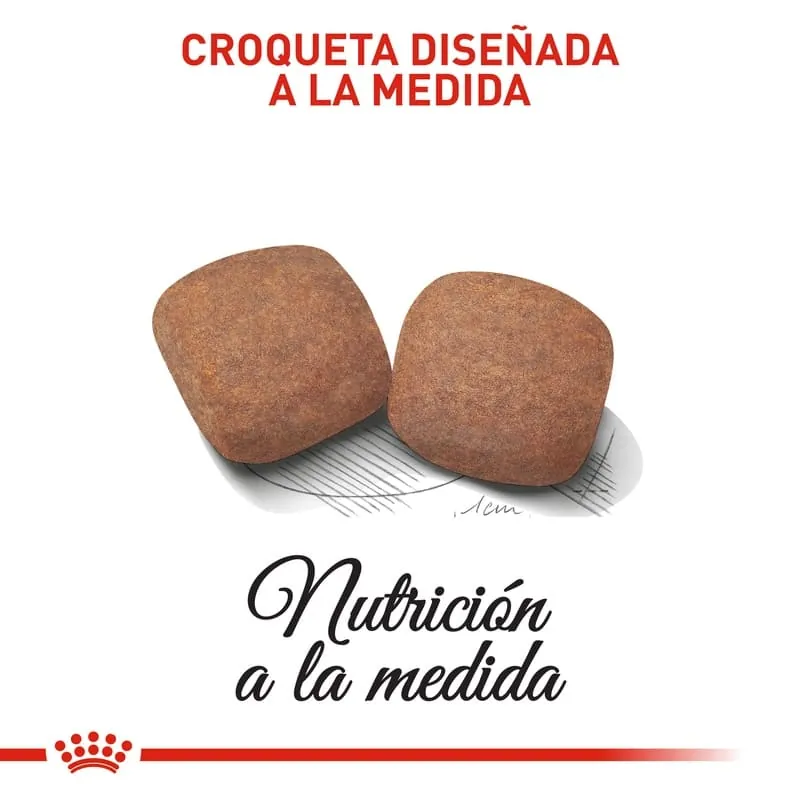 Royal Canin - Giant Adult