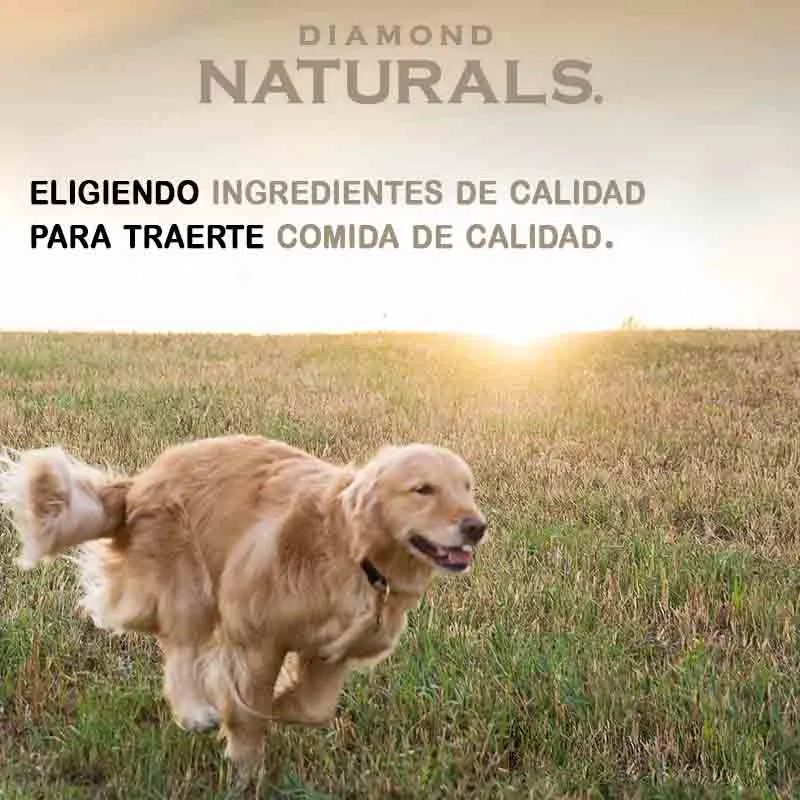 Diamond Naturals - Light Dog Lamb And Rice Adult