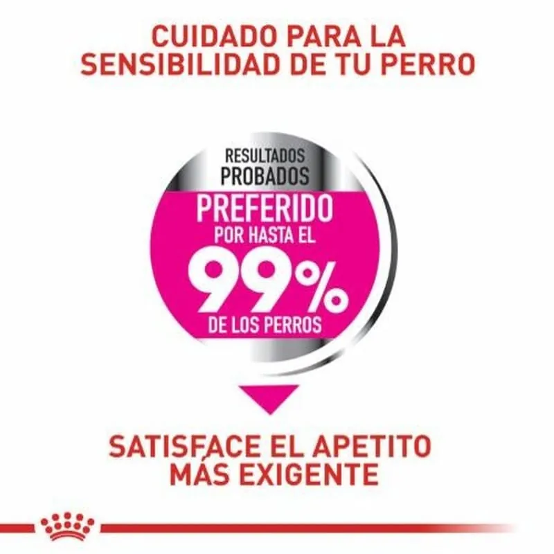 Royal Canin - Mini Exigent