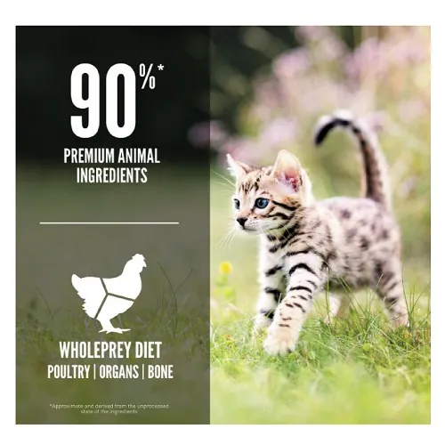 Orijen - Cat Kitten