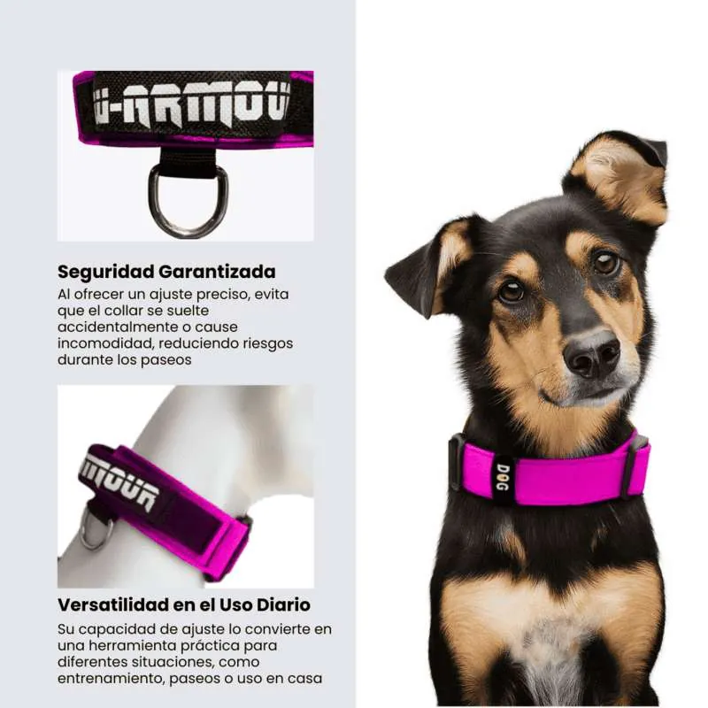 Dogerpilar - Collar Fucsia
