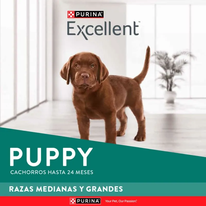 Excellent - Cachorros Razas Medianas Y Grandes Pollo Y Arroz