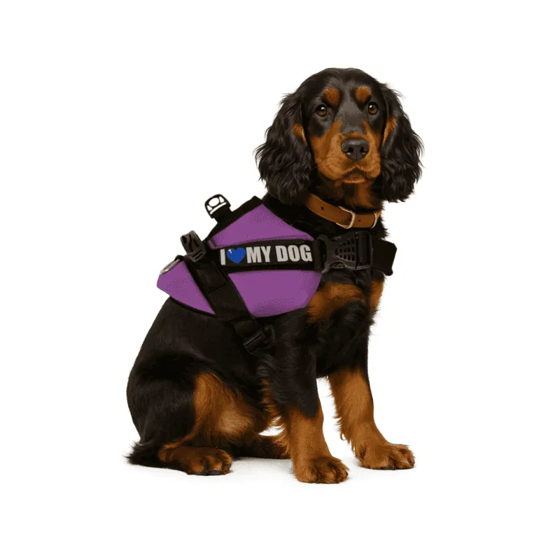 Dogerpilar - Arnés Velcro Morado