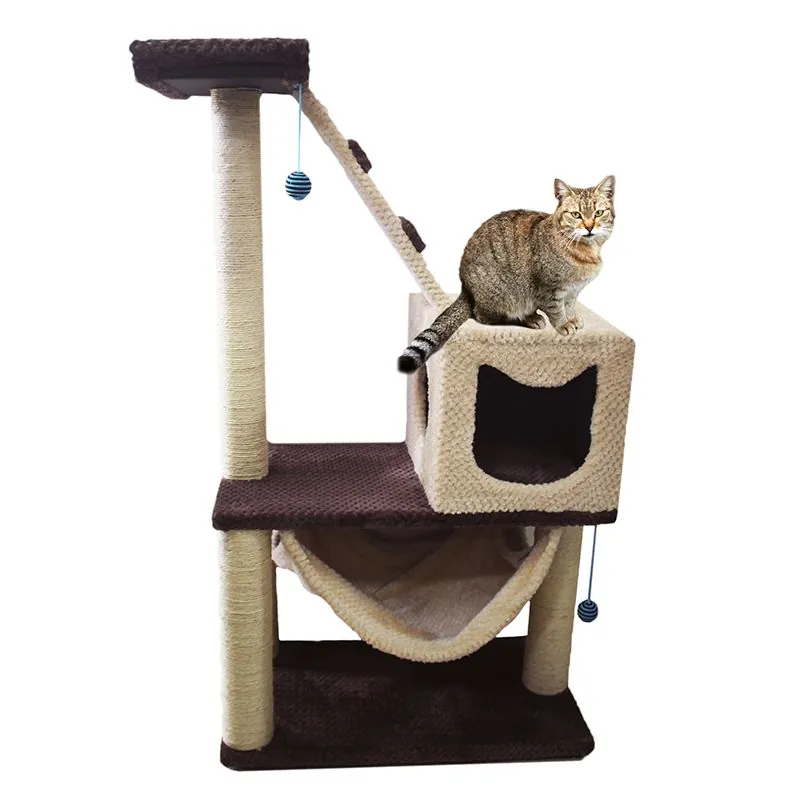 Maos Pets - Gimnasio Mediano