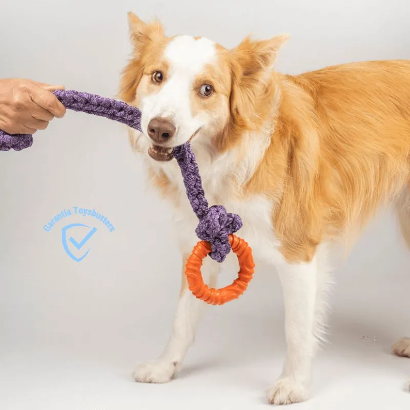 Toysbusters - Juguete De Jalar Resistente Para Perros - Morado