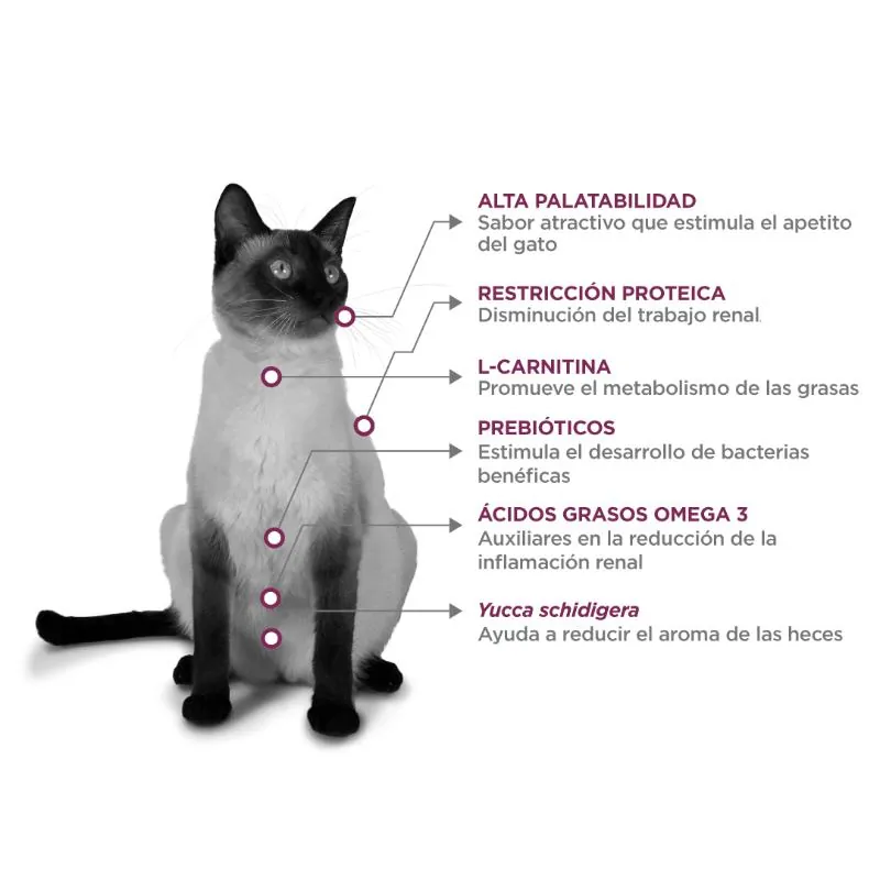 Nupec - Felino Renal Care