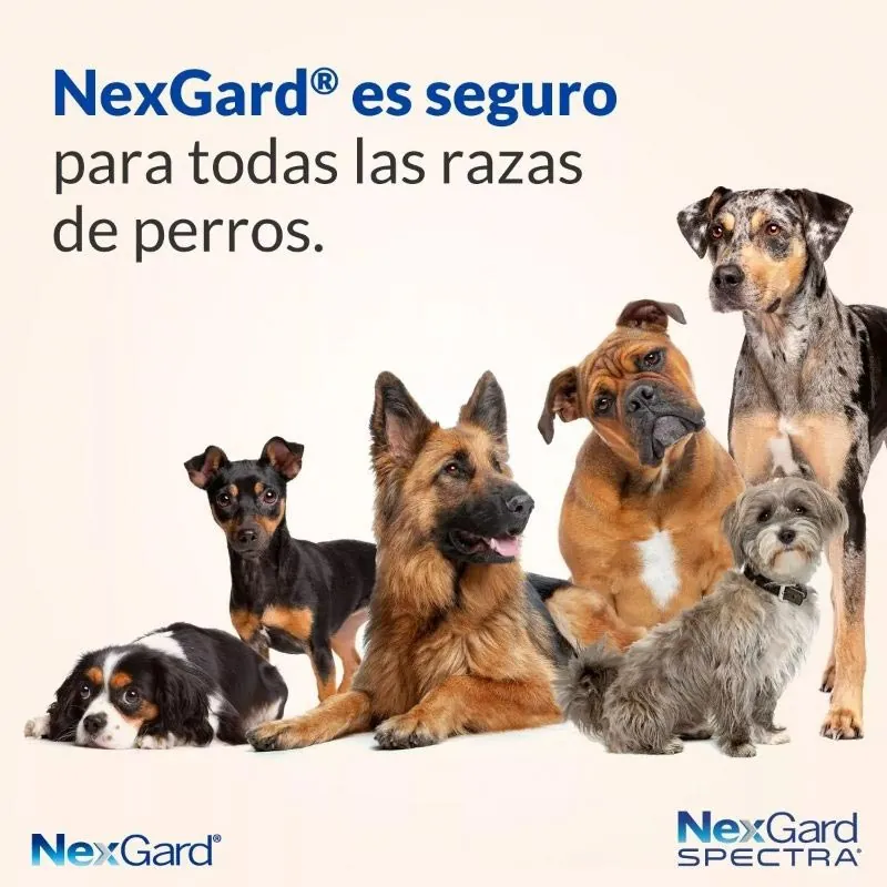 NexGard Spectra - Tableta Masticable para Perros 2 - 3.5 KG