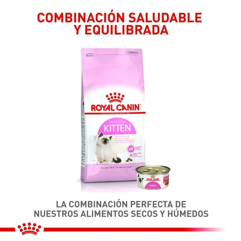 Royal Canin - Fhn Kitten