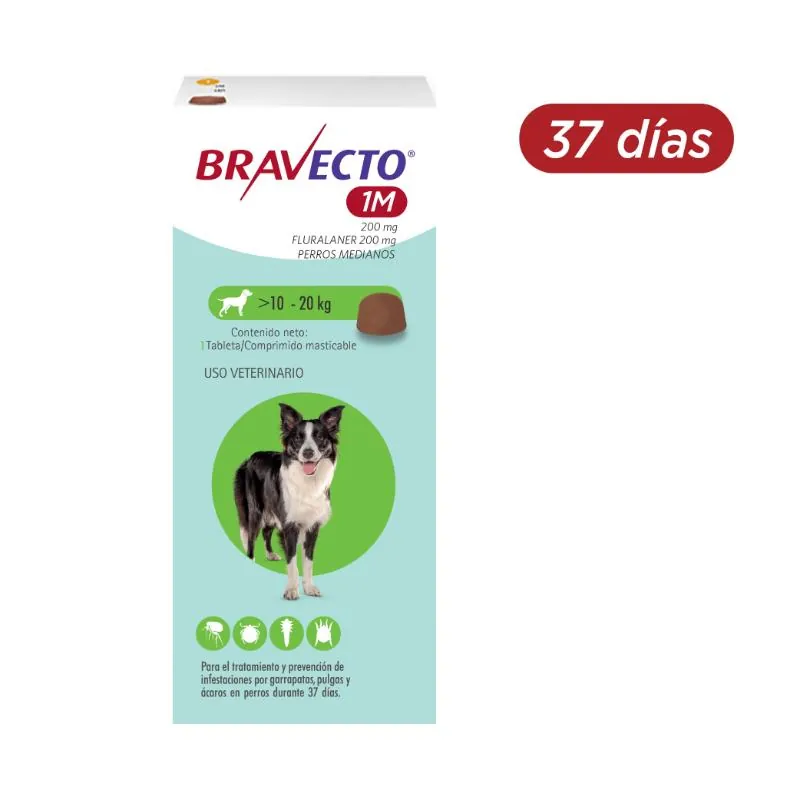 Bravecto 37 Días - Tableta Antipulgas Perros de 10 a 20 KG