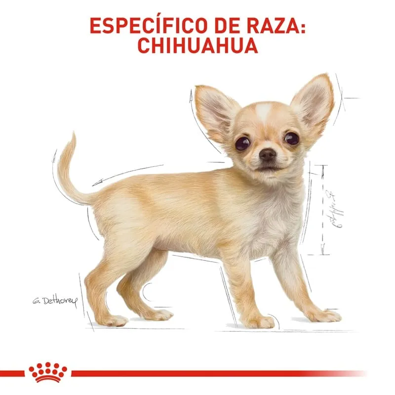 Royal Canin Chihuahua Puppy