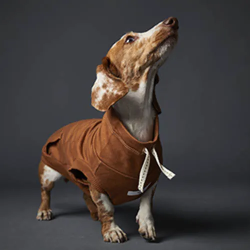 The Striped Dog - Chaleco Terracota Melrose