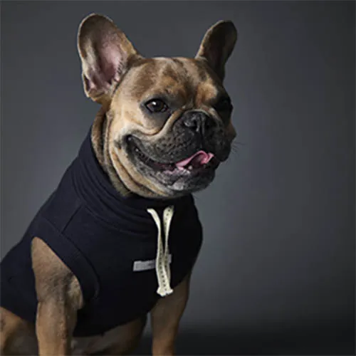 The Striped Dog - Chaleco Azul Melrose