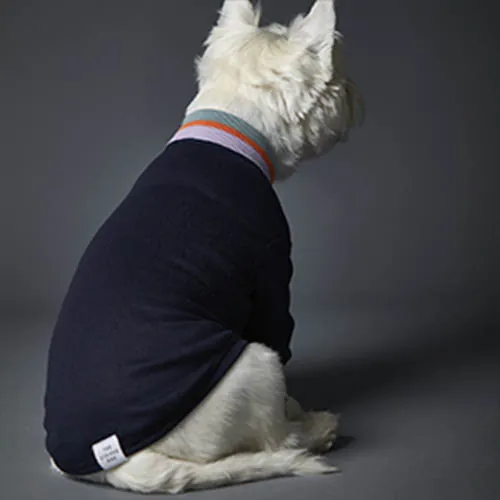 The Striped Dog - Suéter Multicolor Lakewood