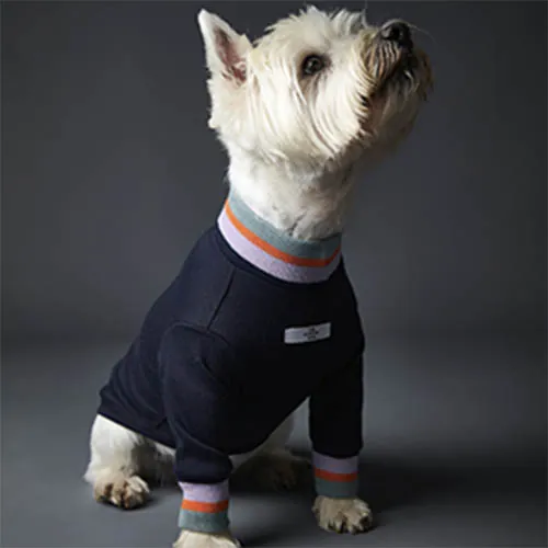 The Striped Dog - Suéter Multicolor Lakewood