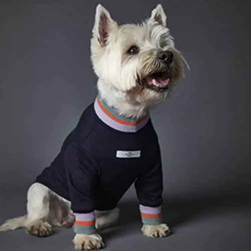 The Striped Dog - Suéter Multicolor Lakewood