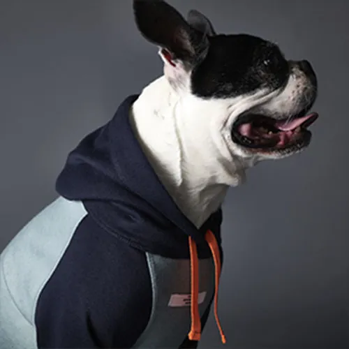 The Striped Dog - Suéter Multicolor Beach