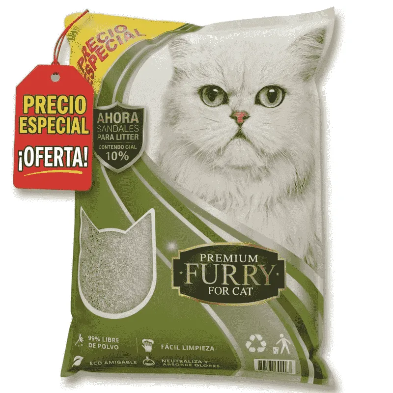 Cómo enseñarle a tu gato a usar el arenero: guía práctica