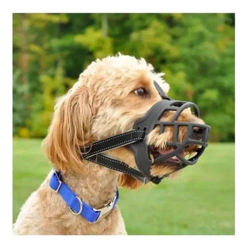 Coastal Pet - Perro Bozal Basket
