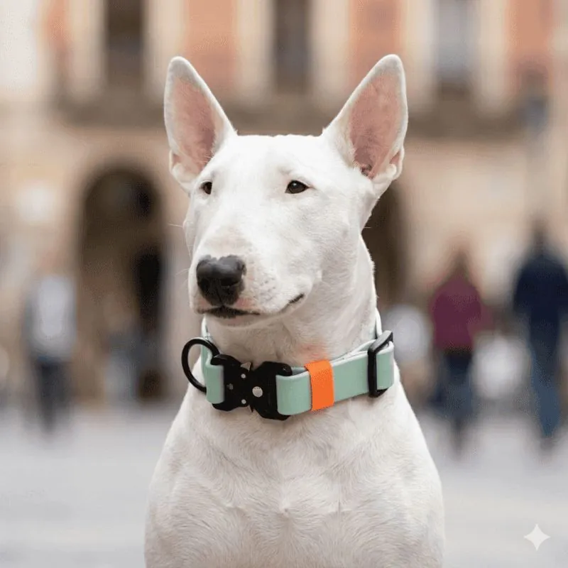 4 Moments - Collar Pvc Verde Menta - Naranja