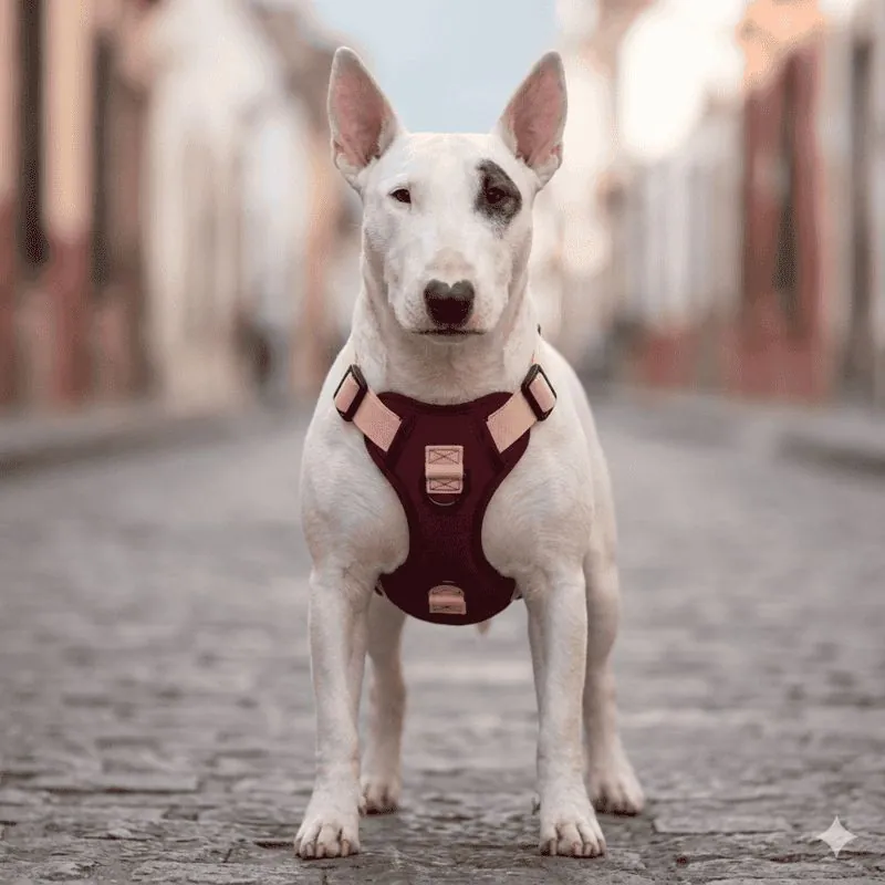 Paw Day - Arnes Essential Vino Tinto - Rosado Bebe