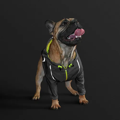 Gordogs - Chaqueta Rompevientos Neón Negro