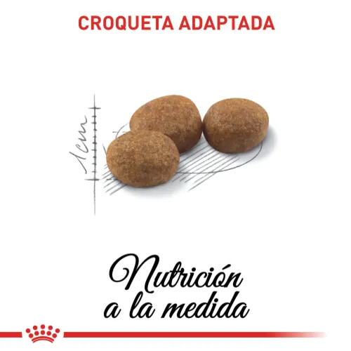 Royal canin - Sterilised