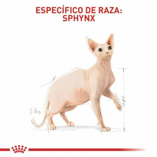 Royal Canin - Sphynx Adulto