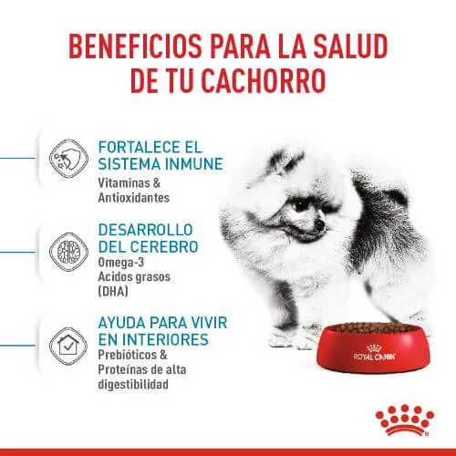 Royal Canin - Mini Indoor Puppy