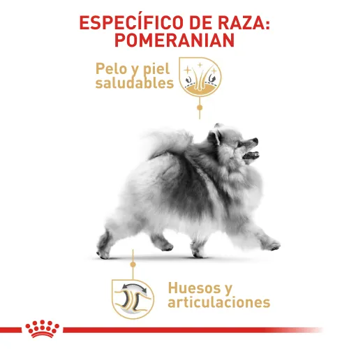 Royal Canin - Pomerania Adulto
