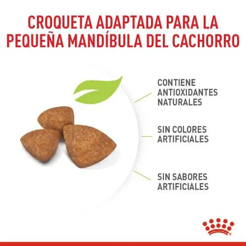 Royal Canin - Xsmall Puppy