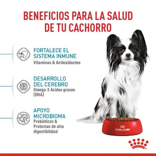 Royal Canin - Xsmall Puppy