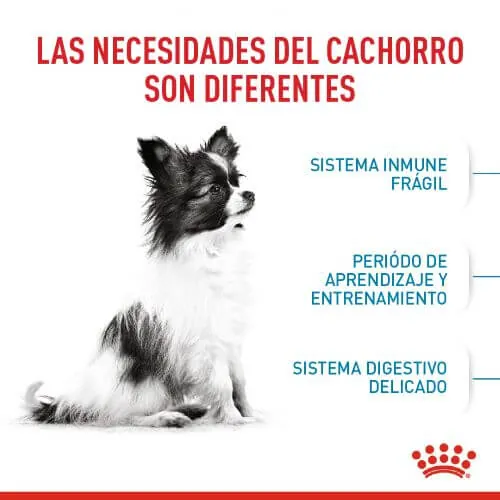 Royal Canin - Xsmall Puppy