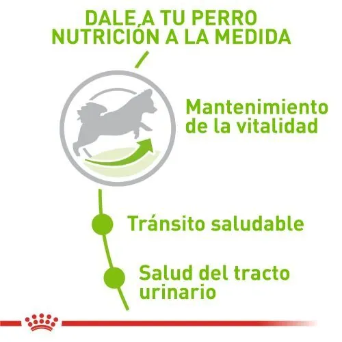 Royal Canin - Xsmall Adulto 8+