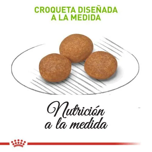 Royal Canin - Xsmall Adulto 8+