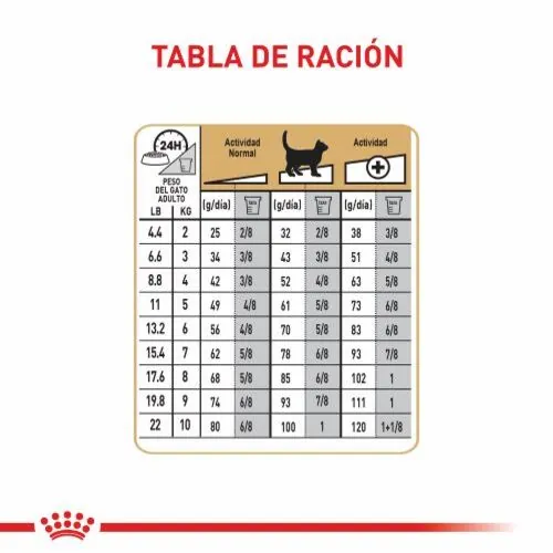 Royal Canin - Ragdoll Adult Feline
