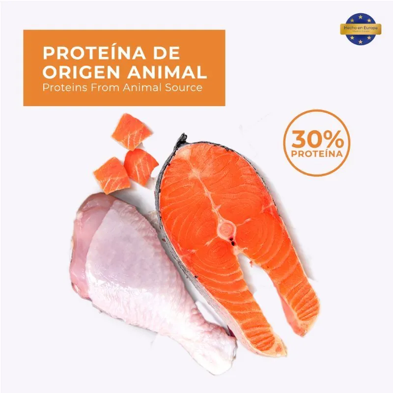 True Nature - Alimento Gatos Adultos Sabor Salmón y Vegetales