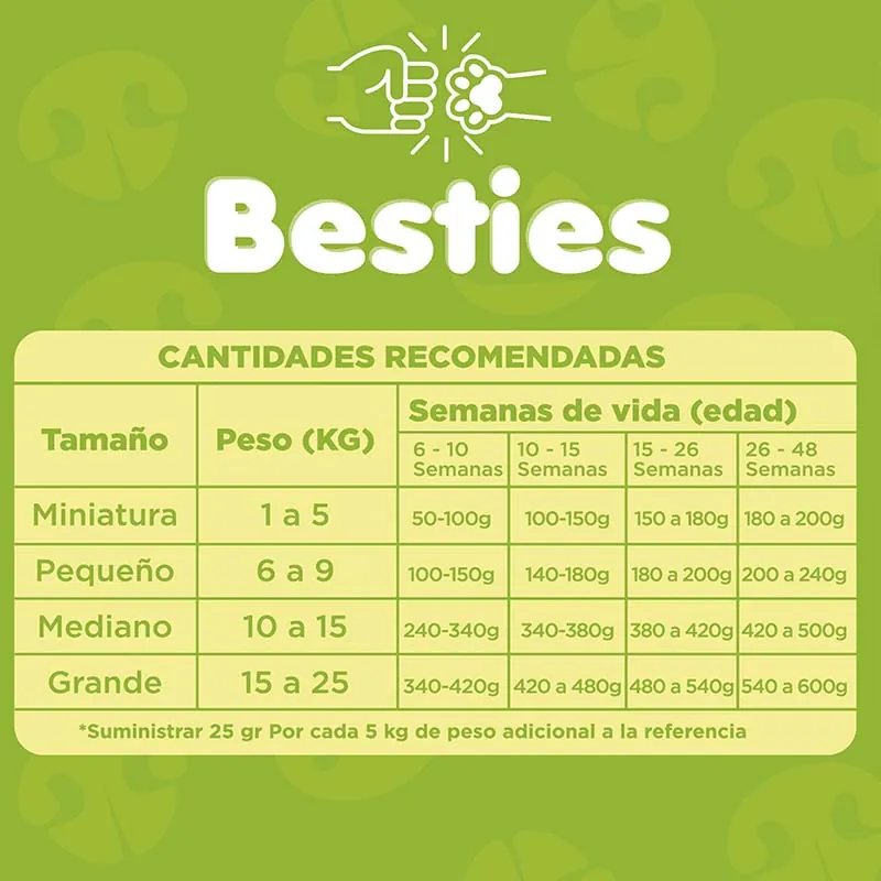 Besties - Alimento Perros Cachorros Sabor Carne y Pollo