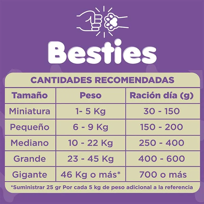Besties - Alimento Perros Adultos Sabor Carne y Pollo