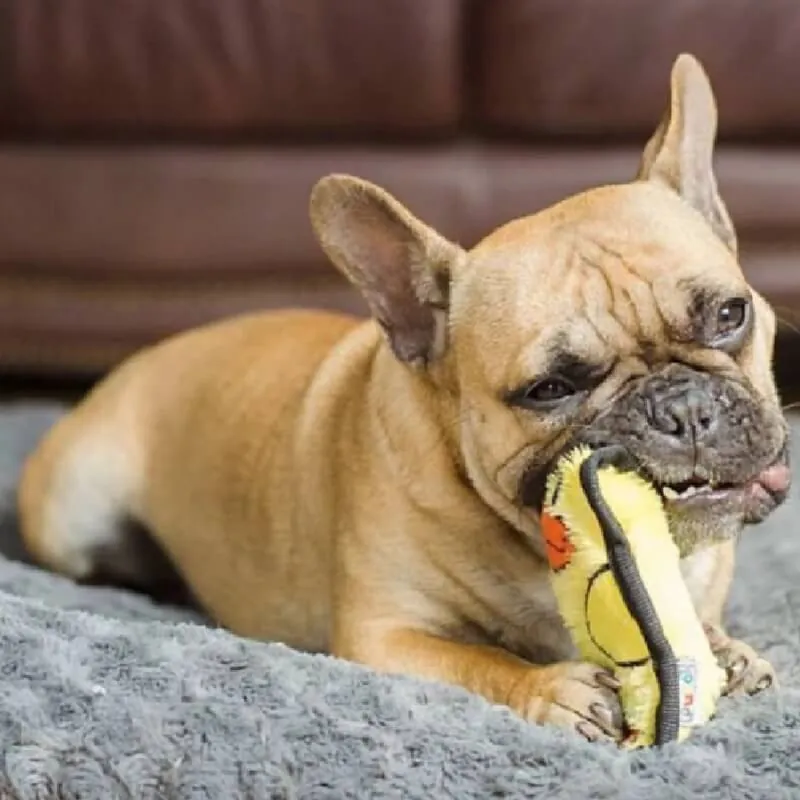Outward Hound - Peluche Invincible Pato Mini