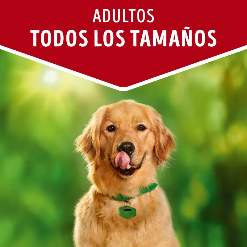 Dog Chow - Todos Los Tamaños Con Carne
